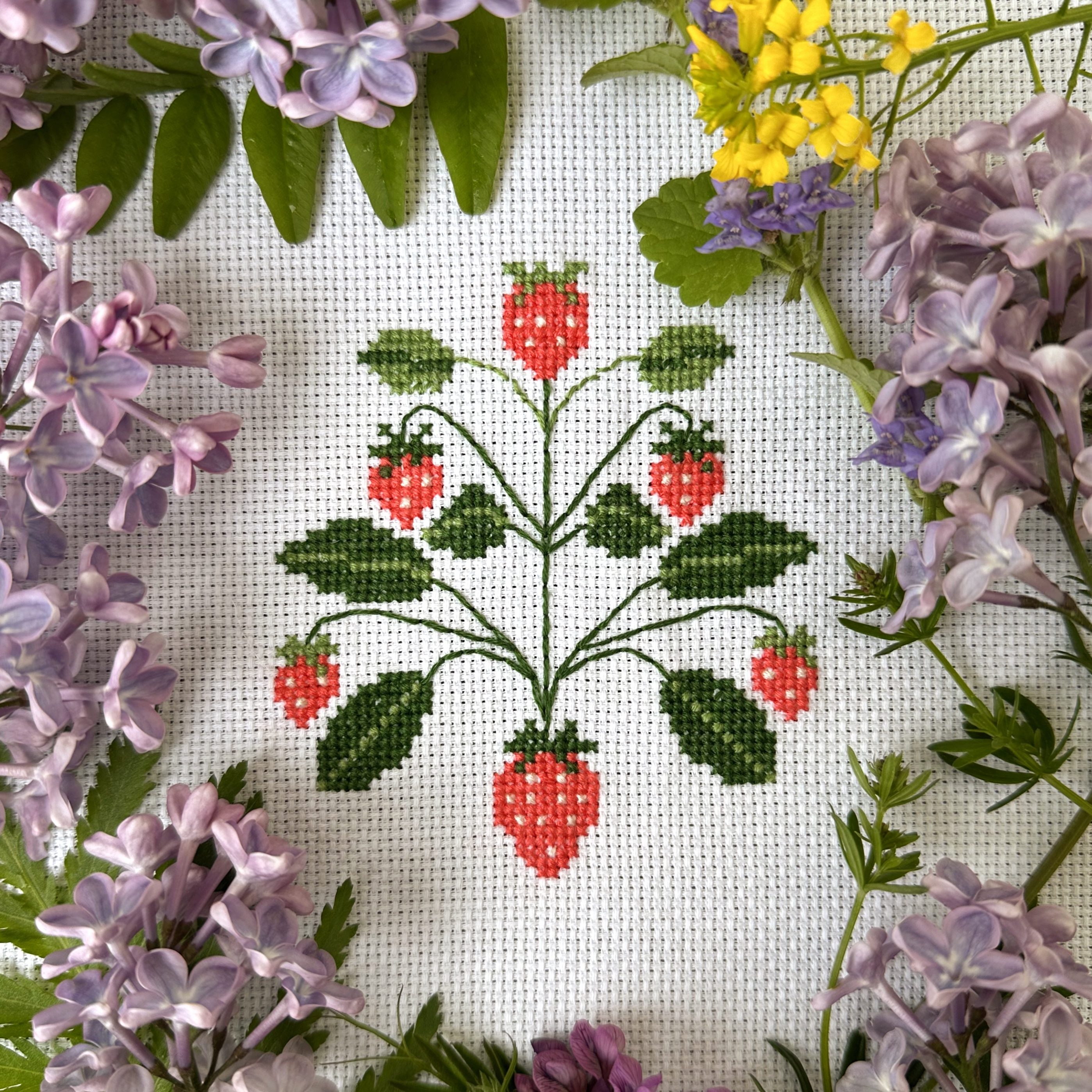 Free Strawberry Pattern